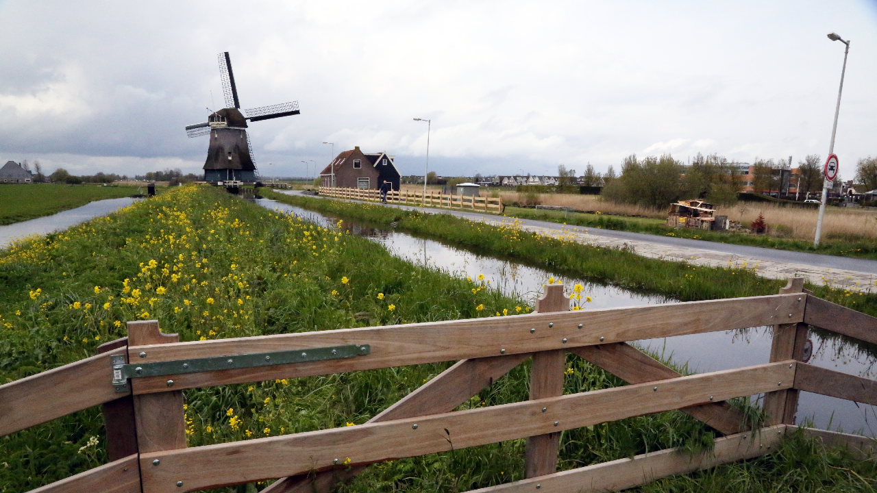 Nieuwe hekken op de Achterdichting in Katwoude
