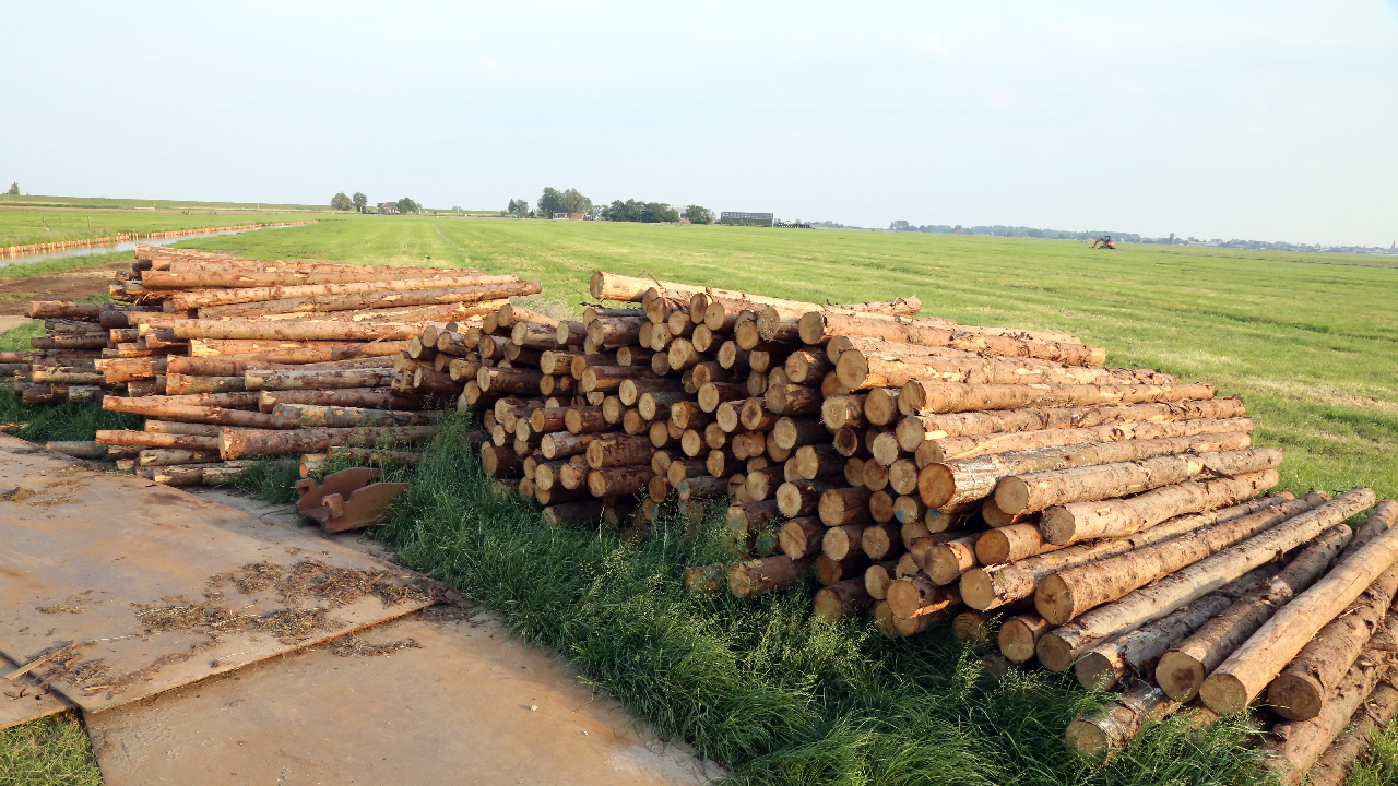 Beschoeiing langs sloten in Katwoude