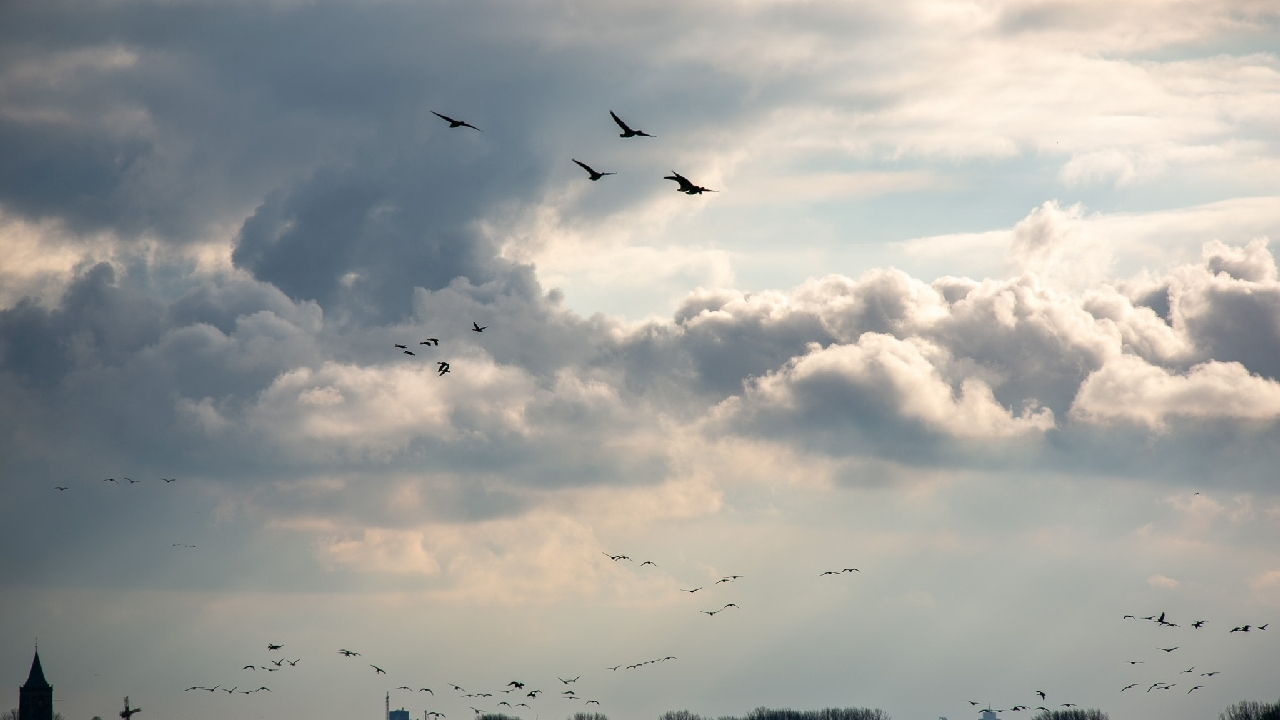 Mooie wolken boven Katwoude