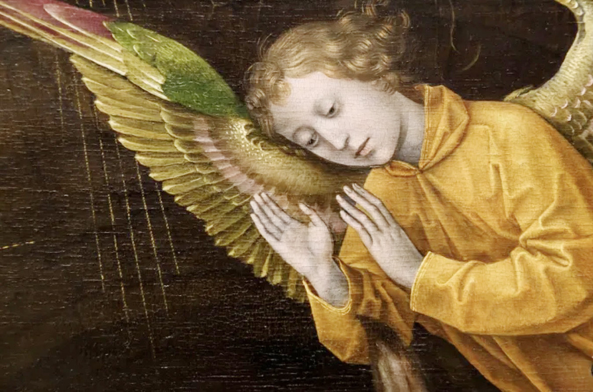 Extra lezing bij Nut Edam | Engelen in de kunst