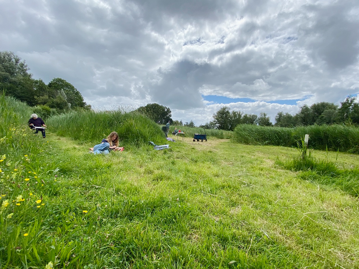 Botanisch tekenen in Heemtuin de Dwarsgouw