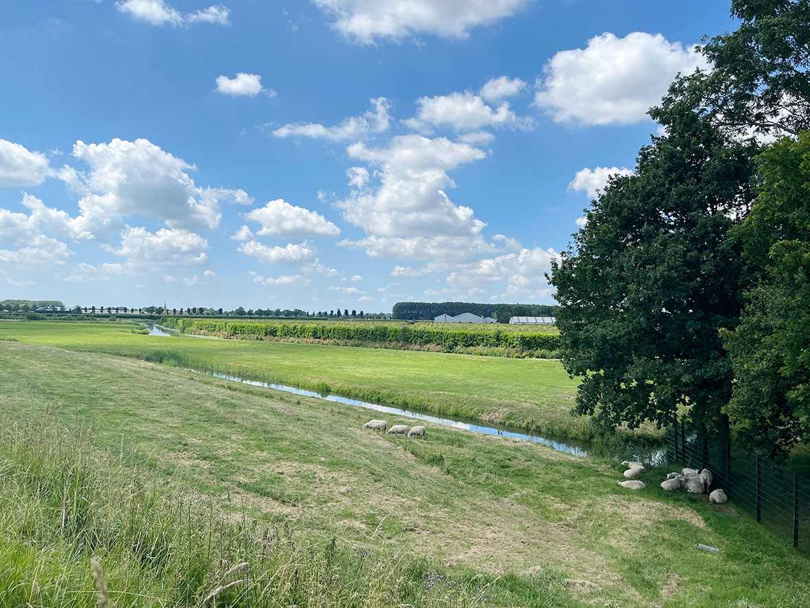 Ophogen van grond kan waterschap voortaan vergunning kosten